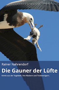 Die Gauner der Lüfte (gekürzte Version) - Rainer Nahrendorf - E-Book