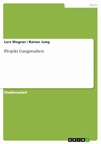 Projekt Gangstudien - Lars Wegner - E-Book