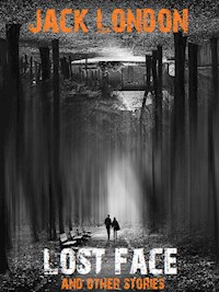 Lost Face - Bauer Books - E-Book