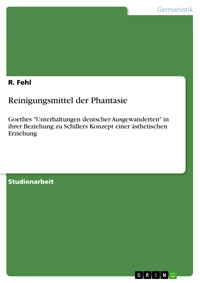 Reinigungsmittel der Phantasie - R. Fehl - E-Book