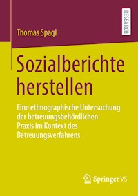 Sozialberichte herstellen - Thomas Spagl - E-Book