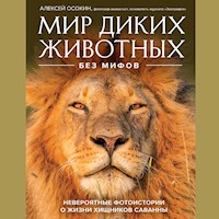 Мир диких животных без мифов. Невероятные фото-истории о жизни хищников саванны - Алексей Осокин - Hörbuch