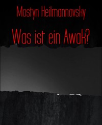 Was ist ein Awak? - Mostyn Heilmannovsky - E-Book