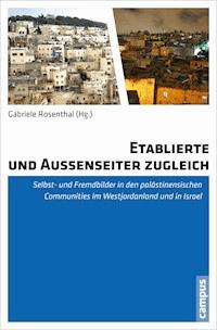 Etablierte und Außenseiter zugleich - - E-Book