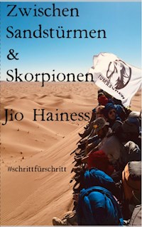 Zwischen Sandstürmen & Skorpionen - Jio Hainess - E-Book