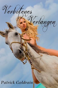 Verbotenes Verlangen - Patrick Goldrain - E-Book