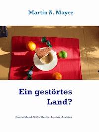 Ein gestörtes Land? - Martin A. Mayer - E-Book