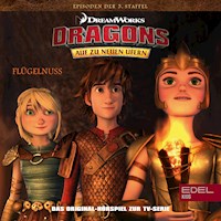 Folge 55: Flügelnuss / Das Buch der Rekorde (Das Original-Hörspiel zur TV-Serie) - Thomas Karallus - Hörbuch