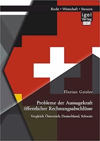 Probleme der Aussagekraft öffentlicher Rechnungsabschlüsse: Vergleich Österreich, Deutschland, Schweiz - Florian Geisler - E-Book