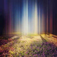 Seiden Gedanken - Silke Schreiber - E-Book