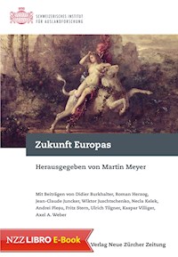Zukunft Europas - - E-Book