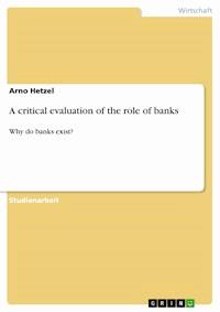 A critical evaluation of the role of banks - Arno Hetzel - E-Book