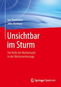 Unsichtbar im Sturm - Ian Roulstone - E-Book