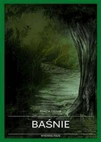 Baśnie - Bracia Grimm - E-Book