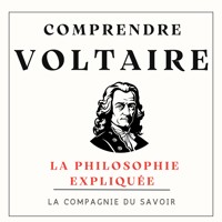Comprendre Voltaire - Voltaire - Hörbuch