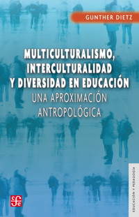 Multiculturalismo, interculturalidad y diversidad en educación - Gunther Dietz - E-Book