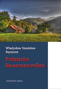 Polnische Bauernnovellen - Wladyslaw Stanislaw Reymont - E-Book