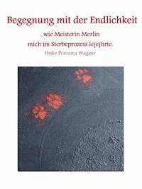 Begegnung mit der Endlichkeit - Heike Pranama Wagner - E-Book