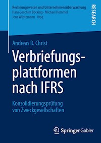Verbriefungsplattformen nach IFRS - Andreas D. Christ - E-Book