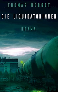 Die Liquidatorinnen - Thomas Herget - E-Book