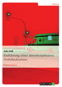Einführung einer interdisziplinären Notfallaufnahme - Julia Süß - E-Book
