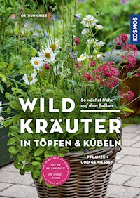 Wildkräuter in Töpfen & Kübeln - Ortrud Grieb - E-Book