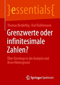 Grenzwerte oder infinitesimale Zahlen? - Thomas Bedürftig - E-Book