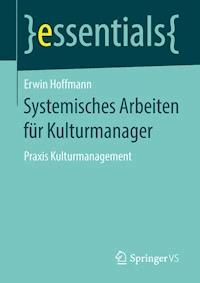 Systemisches Arbeiten für Kulturmanager - Erwin Hoffmann - E-Book