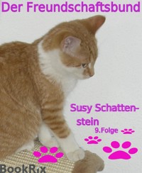 Der Freundschaftsbund - Susy Schattenstein - E-Book
