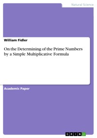 On the Determining of the Prime Numbers by a Simple Multiplicative Formula - William Fidler - E-Book