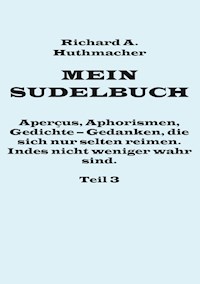 Mein Sudelbuch, Teil 3 - Richard A. Huthmacher - E-Book