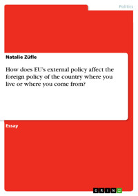 How does EU’s external policy affect the foreign policy of the country where you live or where you come from? - Natalie Züfle - E-Book