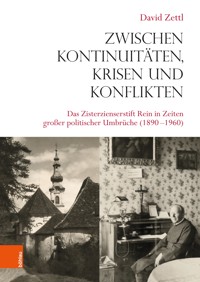 Zwischen Kontinuitäten, Krisen und Konflikten - David Zettl - E-Book