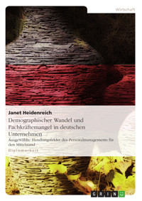 Demographischer Wandel und Fachkräftemangel in deutschen Unternehmen - Janet Heidenreich - E-Book