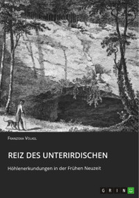Reiz des Unterirdischen. Höhlenerkundungen in der Frühen Neuzeit - Franziska Völkel - E-Book