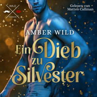 Ein Dieb zu Silvester - Humorvolle Gay Romance zu Weihnachten (ungekürzt) - Amber Wild - Hörbuch