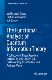 The Functional Analysis of Quantum Information Theory - Ved Prakash Gupta - E-Book