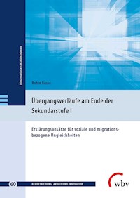 Übergangsverläufe am Ende der Sekundarstufe I - Robin Busse - kostenlos E-Book