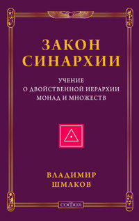 Закон синархии и учение о двойственной иерархии монад и множеств - Владимир Шмаков - E-Book
