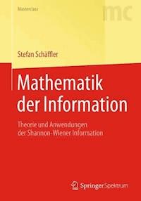 Mathematik der Information - Stefan Schäffler - E-Book