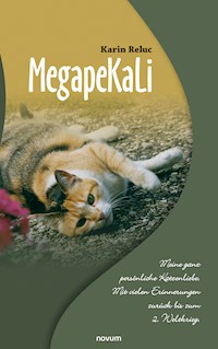 MegapeKaLi - Karin Reluc - E-Book