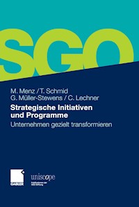 Strategische Initiativen und Programme - Markus Menz - E-Book