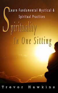 Spirituality In One Sitting - Trevor Hawkins - E-Book