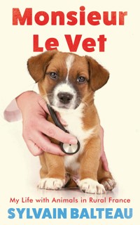 Monsieur le Vet - Sylvain Balteau - E-Book