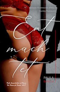 Entmachtet - Paula Band 4 - Wanda Hartmann - E-Book