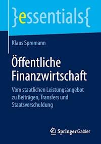 Öffentliche Finanzwirtschaft - Klaus Spremann - E-Book