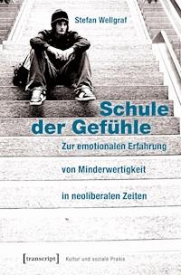 Schule der Gefühle - Stefan Wellgraf - E-Book