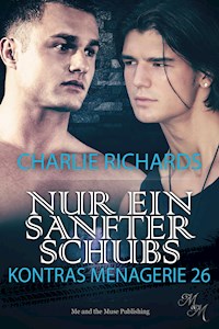 Nur ein sanfter Schubs - Charlie Richards - E-Book