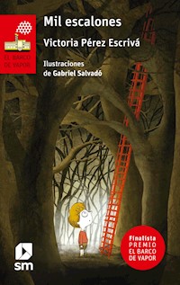 Mil escalones - Victoria Pérez Escrivá - E-Book