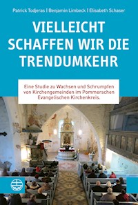 Vielleicht schaffen wir die Trendumkehr - Patrick Todjeras - E-Book